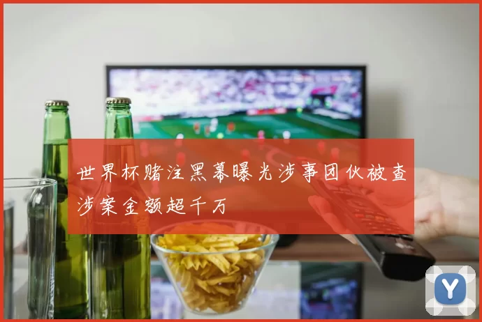 世界杯赌注黑幕曝光涉事团伙被查涉案金额超千万