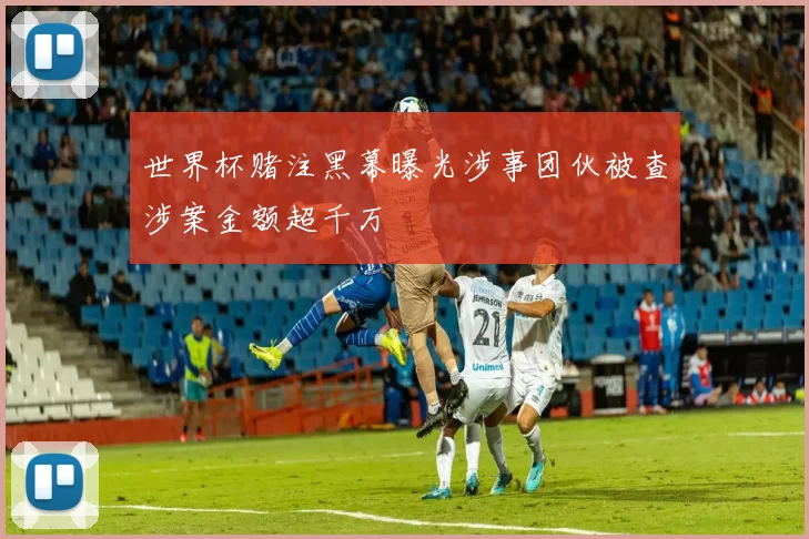 世界杯赌注黑幕曝光涉事团伙被查涉案金额超千万