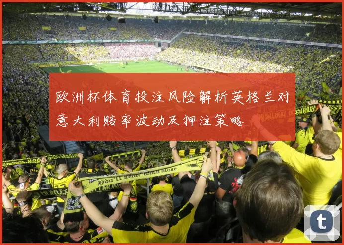 欧洲杯体育投注风险解析英格兰对意大利赔率波动及押注策略
