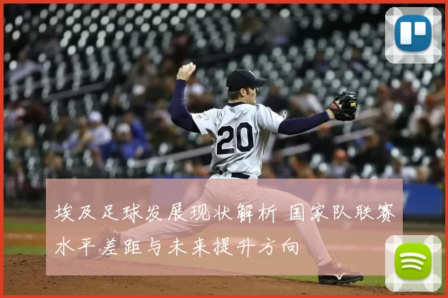 埃及足球发展现状解析 国家队联赛水平差距与未来提升方向